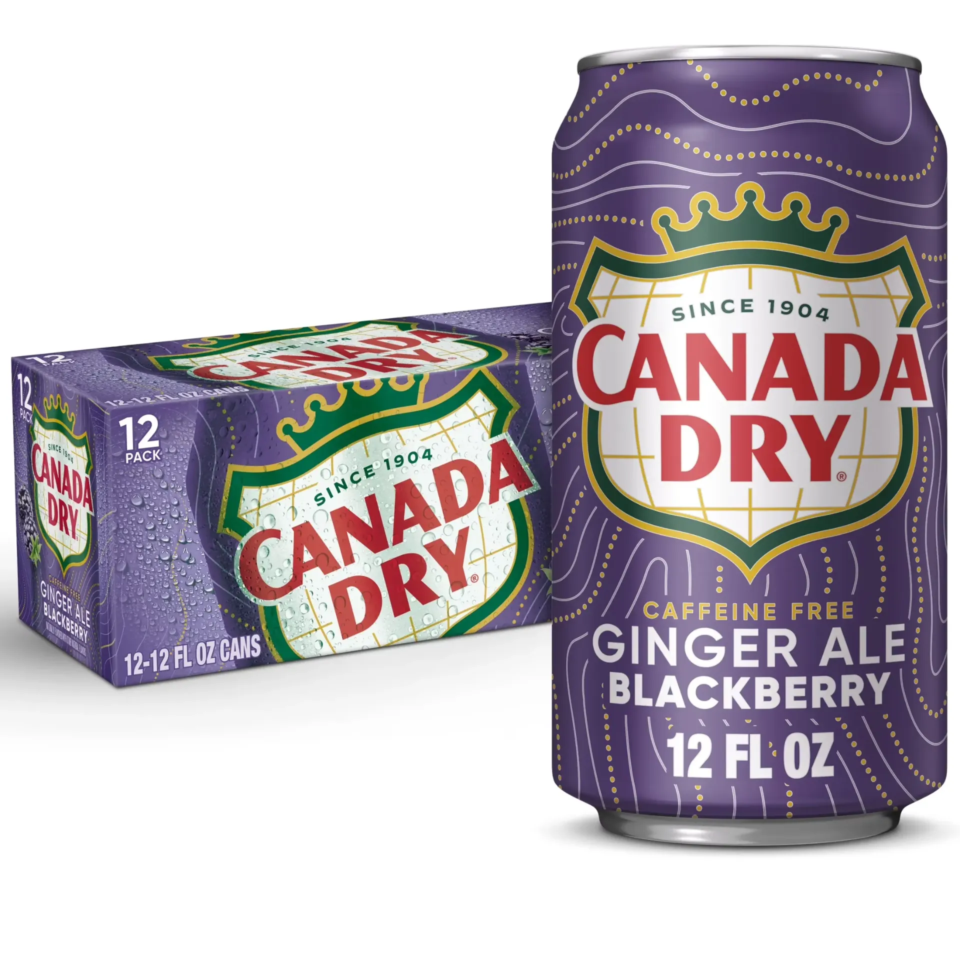 Blueberry Ginger Ale 24 ct 330ml
